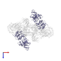 Complement factor B Bb fragment in PDB entry 2win, assembly 2, top view.