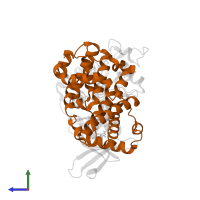 Cyclin-A2 in PDB entry 2wip, assembly 2, side view.