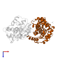 Cyclin-A2 in PDB entry 2wip, assembly 2, top view.