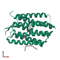 PDB entry 2wjk coloured by chain, front view.