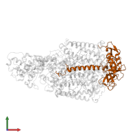 Reaction center protein H chain in PDB entry 2wjn, assembly 1, front view.