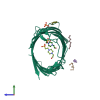 PDB entry 2wjr coloured by chain, side view.