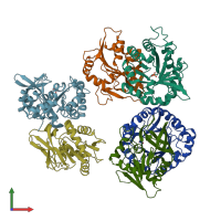 PDB entry 2wjz coloured by chain, front view.