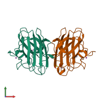 PDB entry 2wko coloured by chain, front view.