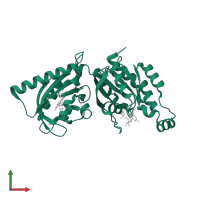 Ras-related C3 botulinum toxin substrate 1 in PDB entry 2wkp, assembly 1, front view.