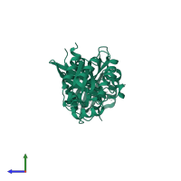 Ras-related C3 botulinum toxin substrate 1 in PDB entry 2wkp, assembly 1, side view.