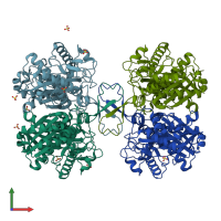 PDB entry 2wku coloured by chain, front view.