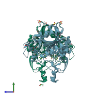 PDB entry 2wkw coloured by chain, side view.