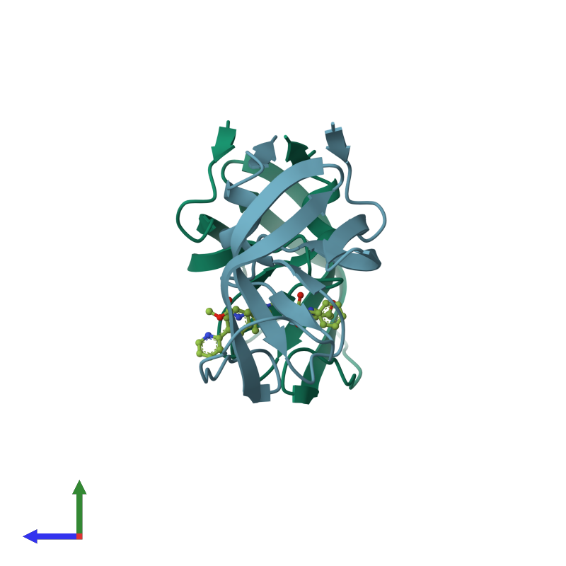 <div class='caption-body'><ul class ='image_legend_ul'>The deposited structure of PDB entry 2wl0 coloured by chain and viewed from the side. The entry contains: <li class ='image_legend_li'>2 copies of PROTEASE</li><li class ='image_legend_li'>[]<ul class ='image_legend_ul'><li class ='image_legend_li'>1 copy of METHYL [(1S)-1-({2-[(3S)-3-BENZYL-3-HYDROXY-4-{[(1S,2R)-2-HYDROXY-2,3-DIHYDRO-1H-INDEN-1-YL]AMINO}-4-OXOBUTYL]-2-(4-PYRIDIN-2-YLBENZYL)HYDRAZINO}CARBONYL)-2,2-DIMETHYLPROPYL]CARBAMATE</li></ul></li></div>