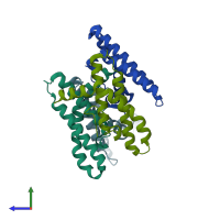 PDB entry 2wl8 coloured by chain, side view.