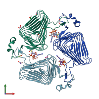 PDB entry 2wlf coloured by chain, front view.