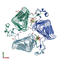 PDB entry 2wlg coloured by chain, front view.