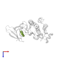 N-(4-OXO-5,6,7,8-TETRAHYDRO-4H-[1,3]THIAZOLO[5,4-C]AZEPIN-2-YL)ACETAMIDE in PDB entry 2wmq, assembly 1, top view.