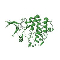 The deposited structure of PDB entry 2wms contains 1 copy of Pfam domain PF00069 (Protein kinase domain) in Serine/threonine-protein kinase Chk1. Showing 1 copy in chain A.