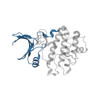 The deposited structure of PDB entry 2wmx contains 1 copy of CATH domain 3.30.200.20 (Phosphorylase Kinase; domain 1) in Serine/threonine-protein kinase Chk1. Showing 1 copy in chain A.