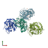 PDB entry 2wni coloured by chain, front view.