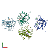 PDB entry 2wo9 coloured by chain, front view.