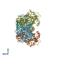 PDB entry 2wpa coloured by chain, side view.