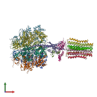 PDB entry 2wpd coloured by chain, front view.