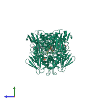 Homo dimeric assembly 1 of PDB entry 2wpe coloured by chemically distinct molecules, side view.