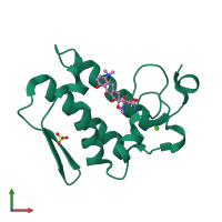 PDB entry 2wq5 coloured by chain, front view.