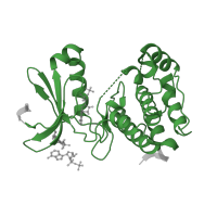 The deposited structure of PDB entry 2wqe contains 1 copy of Pfam domain PF00069 (Protein kinase domain) in Aurora kinase A. Showing 1 copy in chain A.