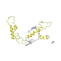 The deposited structure of PDB entry 2wse contains 1 copy of Pfam domain PF02507 (Photosystem I reaction centre subunit III) in Photosystem I reaction center subunit III, chloroplastic. Showing 1 copy in chain J [auth F].