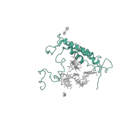 The deposited structure of PDB entry 2wse contains 1 copy of CATH domain 1.20.1240.10 (Photosystem 1 Reaction Centre Subunit Xi; Chain: L;) in Photosystem I reaction center subunit XI, chloroplastic. Showing 1 copy in chain P [auth L].