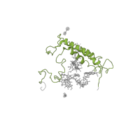 The deposited structure of PDB entry 2wse contains 1 copy of Pfam domain PF02605 (Photosystem I reaction centre subunit XI) in Photosystem I reaction center subunit XI, chloroplastic. Showing 1 copy in chain P [auth L].