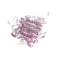 The deposited structure of PDB entry 2wse contains 1 copy of Pfam domain PF00223 (Photosystem I psaA/psaB protein) in Photosystem I P700 chlorophyll a apoprotein A1. Showing 1 copy in chain E [auth A].