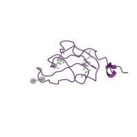 The deposited structure of PDB entry 2wse contains 1 copy of CATH domain 3.30.70.20 (Alpha-Beta Plaits) in Photosystem I iron-sulfur center. Showing 1 copy in chain G [auth C].