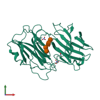 PDB entry 2wt1 coloured by chain, front view.