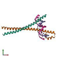 Hetero tetrameric assembly 1 of PDB entry 2wt7 coloured by chemically distinct molecules, front view.
