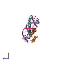 Hetero tetrameric assembly 1 of PDB entry 2wt7 coloured by chemically distinct molecules, side view.