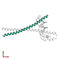 Protein c-Fos in PDB entry 2wt7, assembly 1, front view.