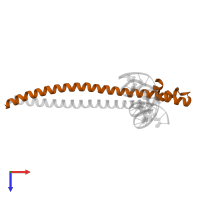 Transcription factor MafB in PDB entry 2wt7, assembly 1, top view.
