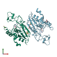 PDB entry 2wt9 coloured by chain, front view.