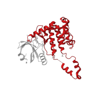 The deposited structure of PDB entry 2wtj contains 1 copy of CATH domain 1.10.510.10 (Transferase(Phosphotransferase); domain 1) in Serine/threonine-protein kinase Chk2. Showing 1 copy in chain A.