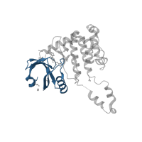 The deposited structure of PDB entry 2wtj contains 1 copy of CATH domain 3.30.200.20 (Phosphorylase Kinase; domain 1) in Serine/threonine-protein kinase Chk2. Showing 1 copy in chain A.