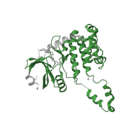 The deposited structure of PDB entry 2wtj contains 1 copy of Pfam domain PF00069 (Protein kinase domain) in Serine/threonine-protein kinase Chk2. Showing 1 copy in chain A.