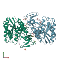 PDB entry 2wtn coloured by chain, front view.