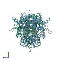 PDB entry 2wuz coloured by chain, side view.