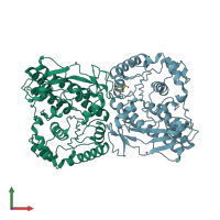 PDB entry 2wvk coloured by chain, front view.