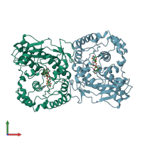 PDB entry 2wvl coloured by chain, front view.
