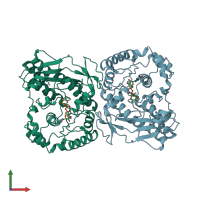 PDB entry 2wvm coloured by chain, front view.