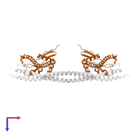 DNA replication factor Cdt1 in PDB entry 2wvr, assembly 1, top view.