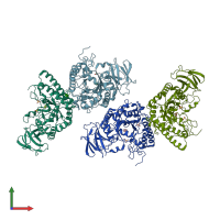 PDB entry 2wvs coloured by chain, front view.