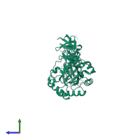 1,4-beta-N-acetylmuramidase in PDB entry 2wwc, assembly 1, side view.