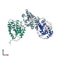 PDB entry 2wwh coloured by chain, front view.