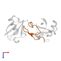 TGF-beta-activated kinase 1 and MAP3K7-binding protein 2 in PDB entry 2wwz, assembly 1, top view.